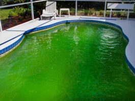How to Clean a Swimming Pool - My Super Simple System