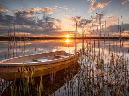 5 industry best practices for septic system maintenance