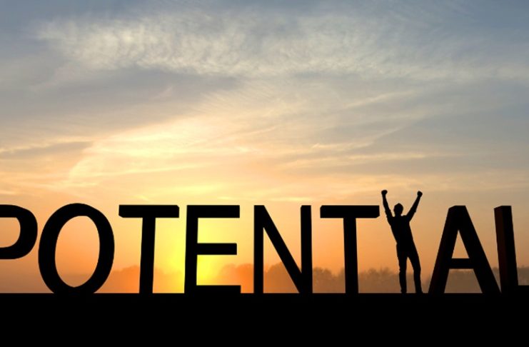 Potential of Business